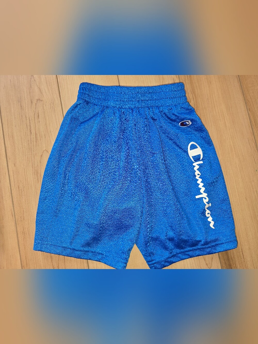 Champion Blue Performance Mesh Shorts